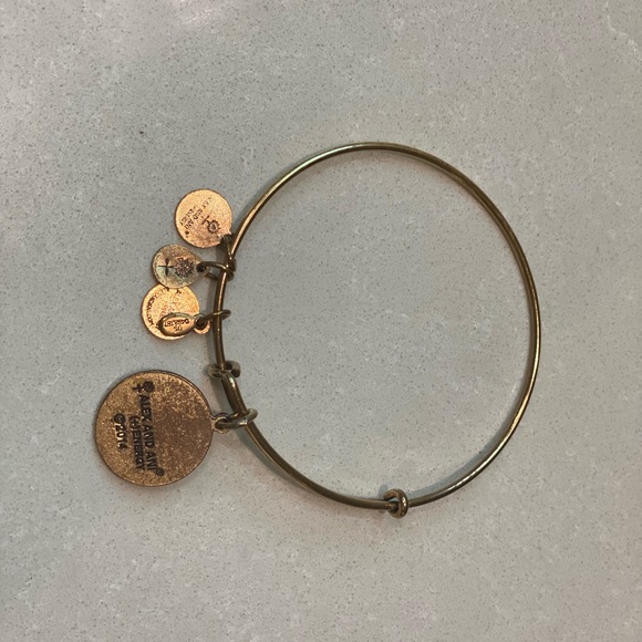 Alex and Ani Tree of Life Bracelet Bronzed Gold - Picture 3 of 4